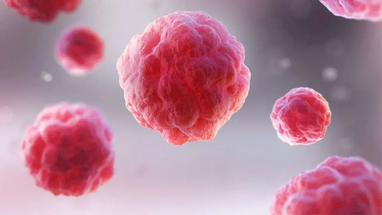 Materi Workshop BMP 2023