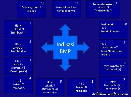 Indikasi BMP (bagan)