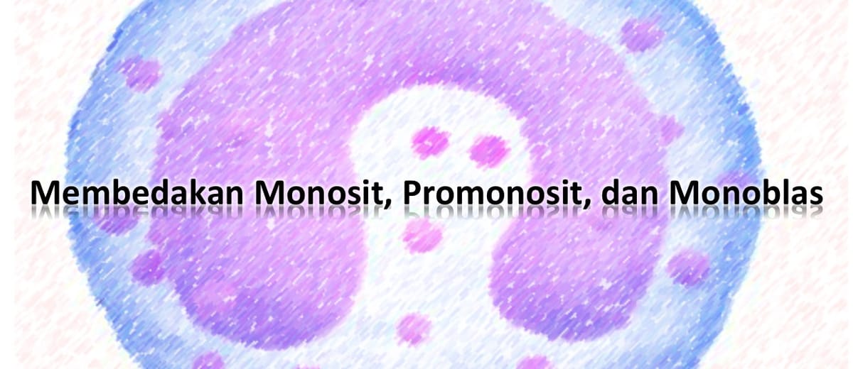 Membedakan Monosit, Promonosit, dan Monoblas