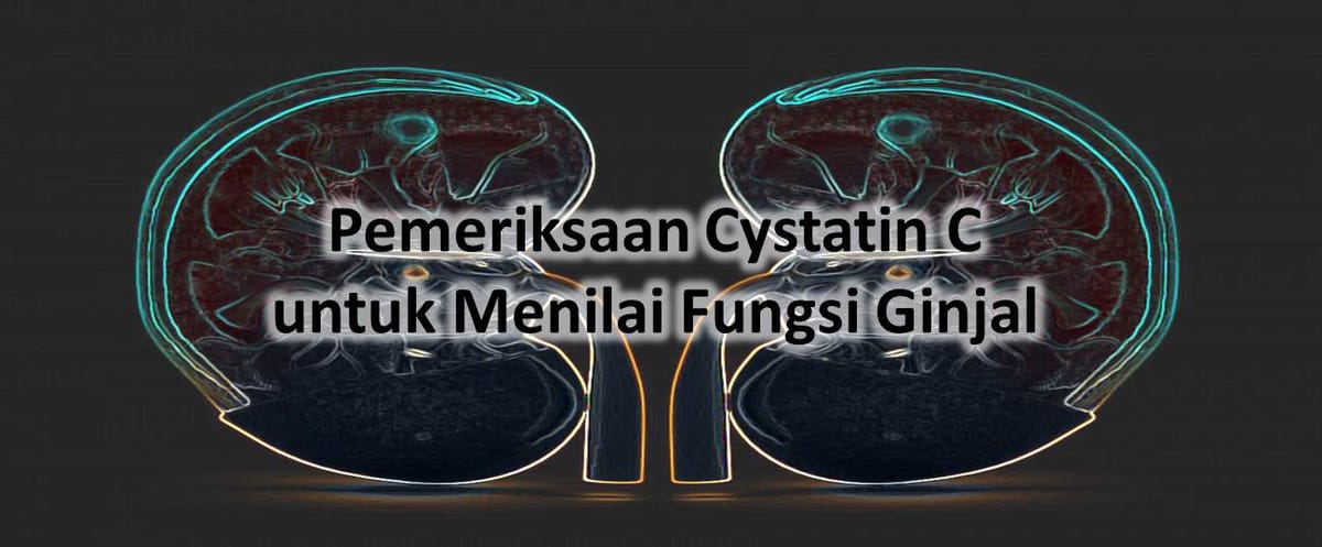 Pemeriksaan Cystatin C untuk Menilai Fungsi Ginjal