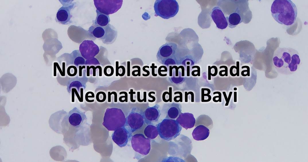 Normoblastemia pada Neonatus dan Bayi