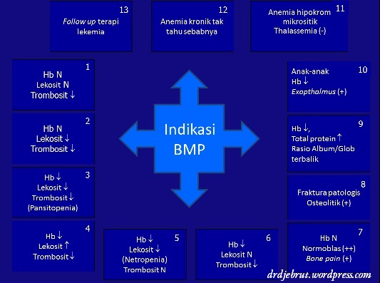 Indikasi BMP (bagan)