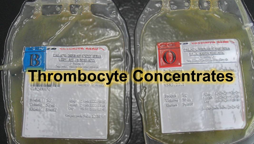 Komponen Darah Thrombocyte Concentrates (TC)