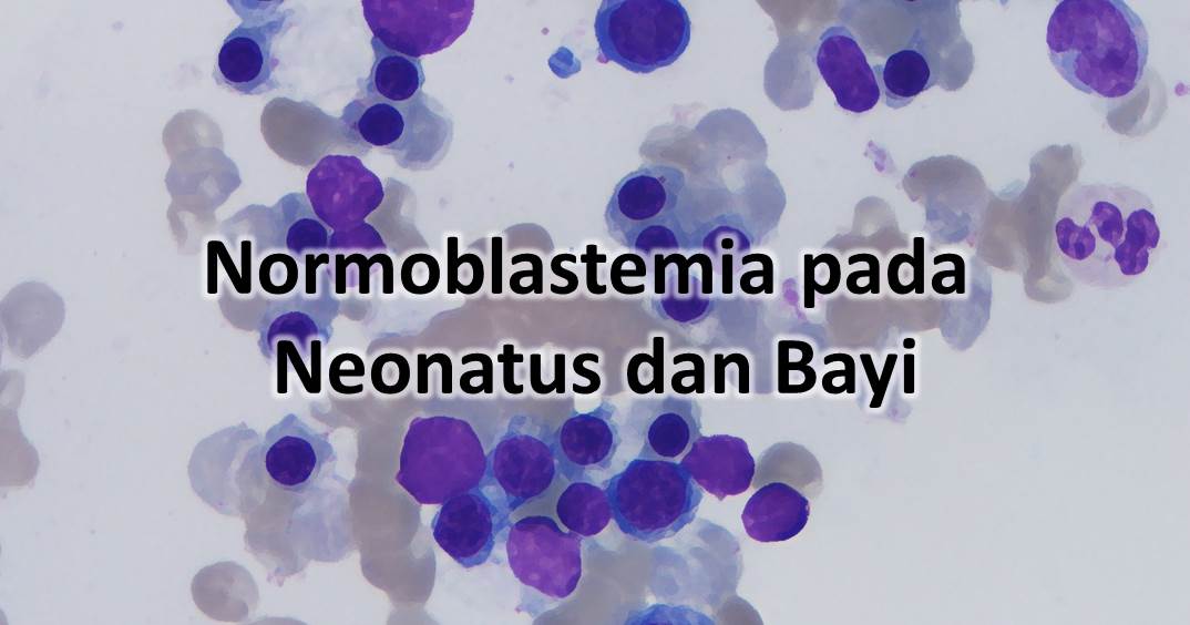 Normoblastemia pada Neonatus dan Bayi